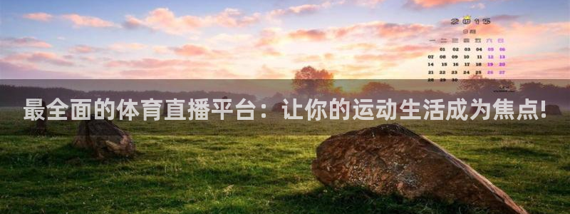 最全面的体育直播平台：让你的运动生活成为焦点!