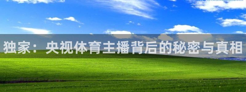 独家：央视体育主播背后的秘密与真相