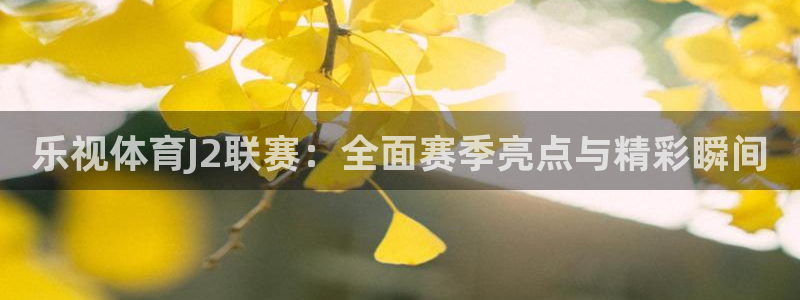 乐视体育J2联赛：全面赛季亮点与精彩瞬间