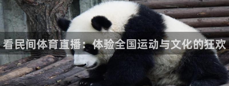 看民间体育直播：体验全国运动与文化的狂欢